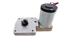 Yifan Motor Brush DC Gear Motor 220V 40W, 53ZY-...