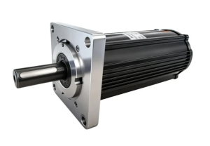 Yifan Motor Brushless DC Gear Motor 24V 95W, Y9...