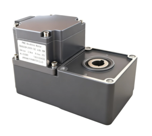 Yifan Motor Brushless DC Gear Motor 24V 120W, F...