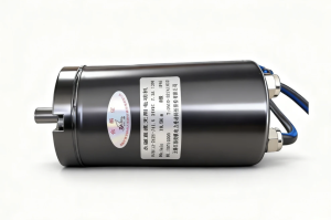 Yifan Motor Brushless DC Gear Motor 24V 120W, Y...