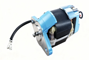 Yifan Motor AC/DC Universal Motor 220V 300W, HD...